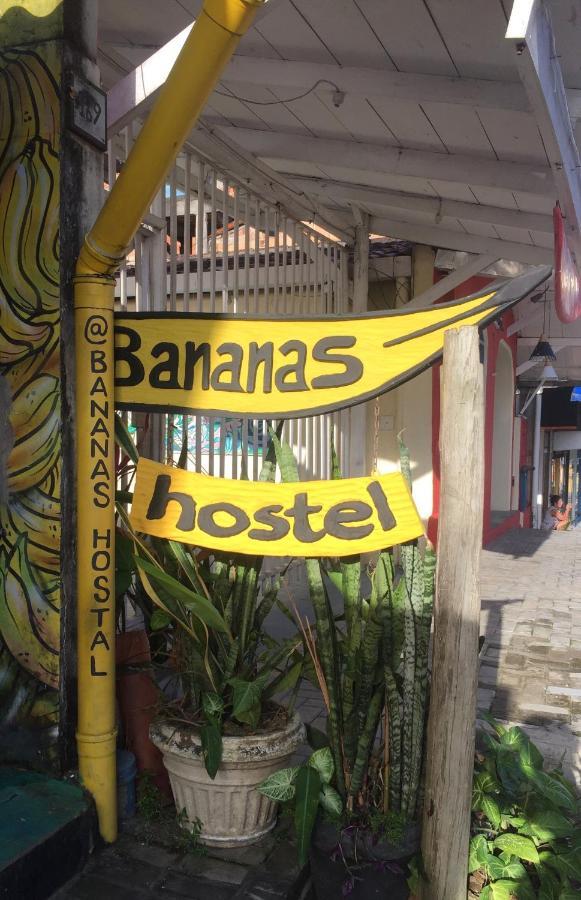 Bananas Hostel Itacaré Exterior foto