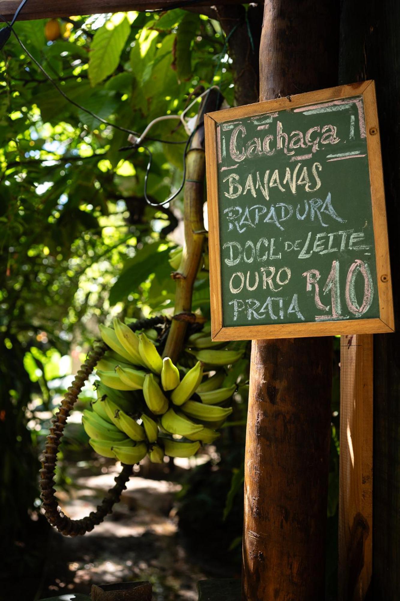 Bananas Hostel Itacaré Exterior foto